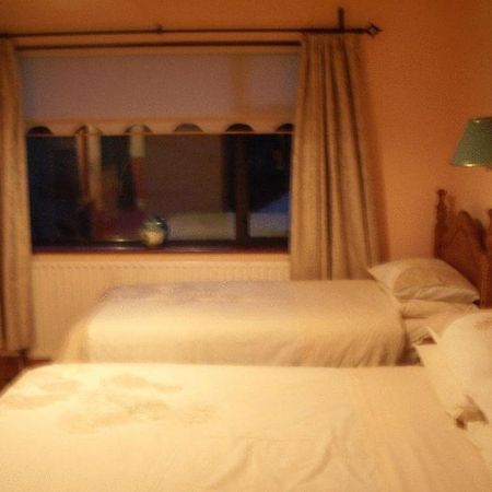 Bed and Breakfast Aard Oakleigh Kilkenny Exteriér fotografie